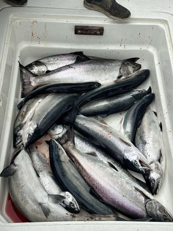 Lake Michigan fishing catch aboard Next Gen Charters in Kewaunee, Wisconsin