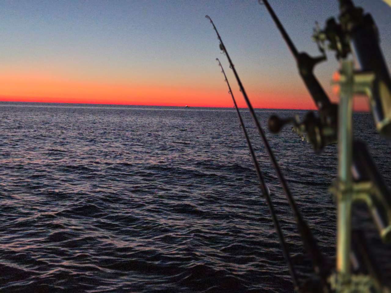 Lake Michigan fishing catch aboard Next Gen Charters in Kewaunee, Wisconsin