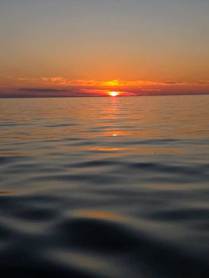 Lake Michigan fishing catch aboard Next Gen Charters in Kewaunee, Wisconsin
