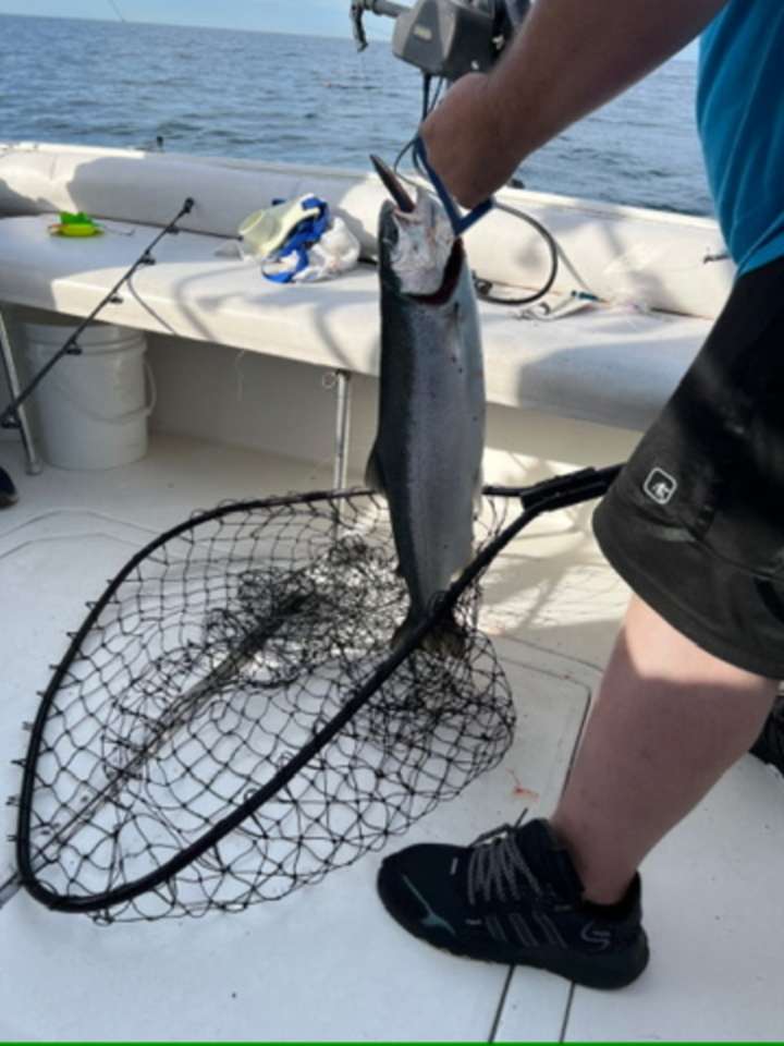 Lake Michigan fishing catch aboard Next Gen Charters in Kewaunee, Wisconsin